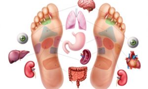 pressure points for zone therapy or reflexology